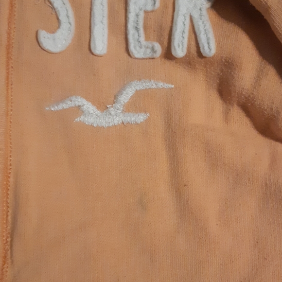 Hollister Surf Full-Zip Hoodie - Picture 3 of 4